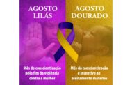 Agosto Lilás e Agosto Dourado: Compromissos do Sindicom-DF