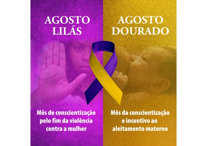 Agosto Lilás e Agosto Dourado: Compromissos do Sindicom-DF